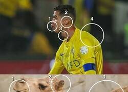 Enlace a El camello de Madeira.