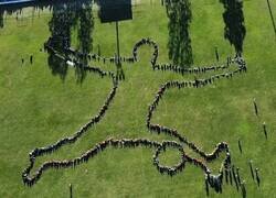 Enlace a En Argentina siguen agradecidos