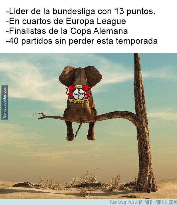 1203115 - El Bayer Leverkusen aún sigue en pie