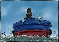 Enlace a El león marino