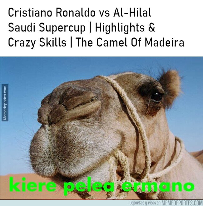 1203242 - Resumen del nuevo show de Cristiano