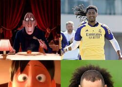 Enlace a Camavingham me recuerda a Marzema