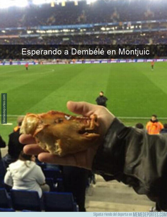 1203451 - Cálida bienvenida al Dembo