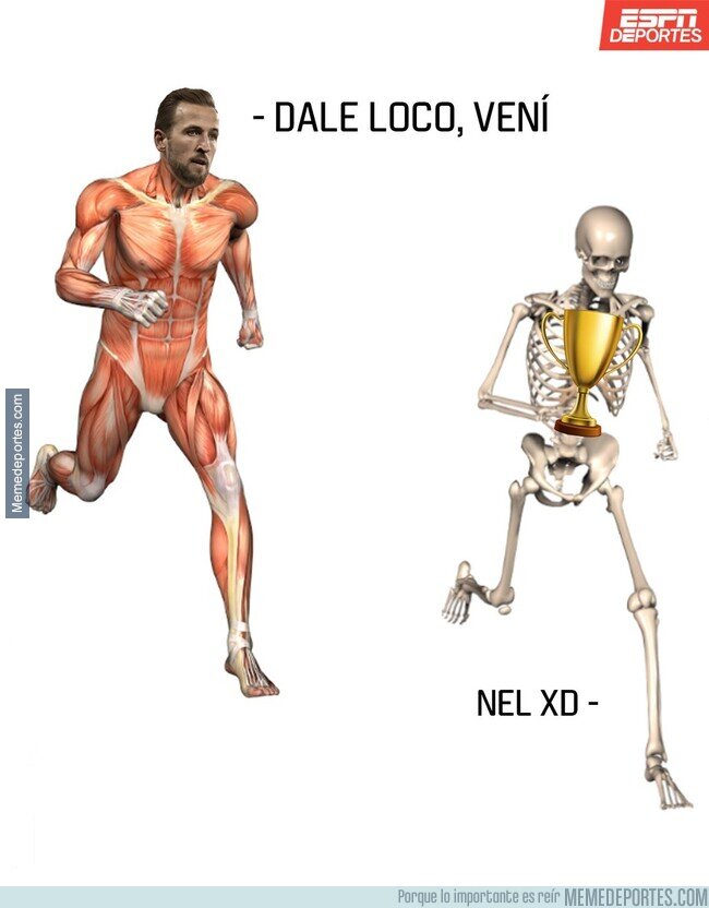 1203476 - Al menos sabemos que no se rendirá