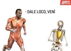 Enlace a Al menos sabemos que no se rendirá