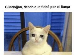 Enlace a Eligió bailar con la más fea