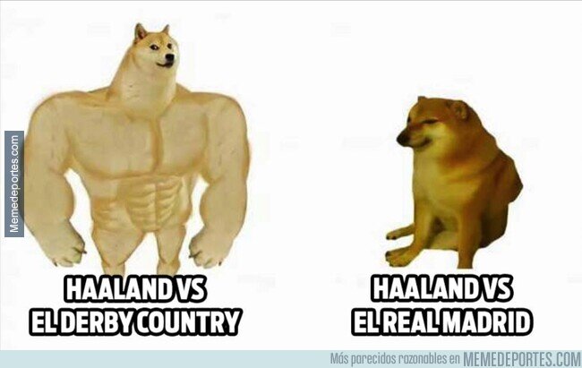 1203567 - La realidad de Halaand en partidos importantes