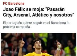 Enlace a Joao Gafélix