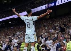 Enlace a ¡Nooo, Fermín...!