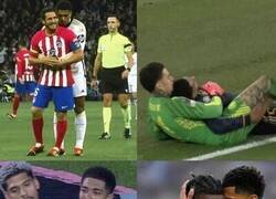 Enlace a Jude el cariñoso