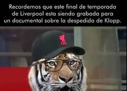 Enlace a Menudo guión va a quedar