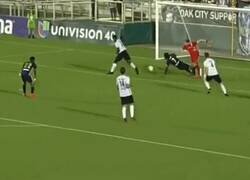 Enlace a Los 10 segundos más caóticos en la historia del deporte