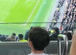 Enlace a El hincha del Tottenham más fiel