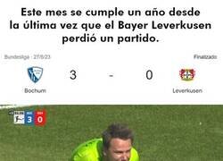 Enlace a Un año sin perder