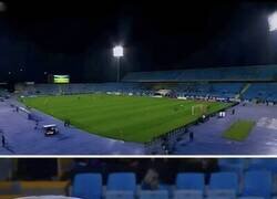 Enlace a ¡Nooo, Bichooo! ¿A quién no escuchas?