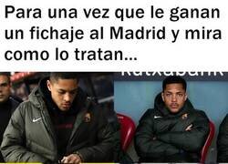 Enlace a Hay que hacer algo con Roque