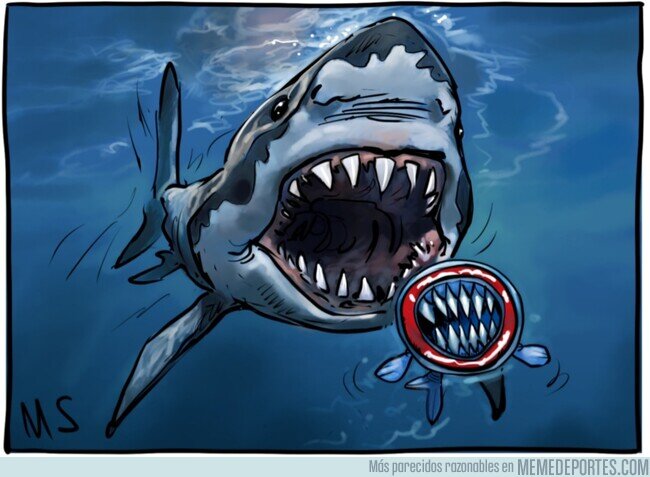 1204354 - El Tiburón Blanco ya está aquí