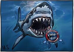 Enlace a El Tiburón Blanco ya está aquí