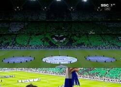 Enlace a Que explícitos son en Arabia