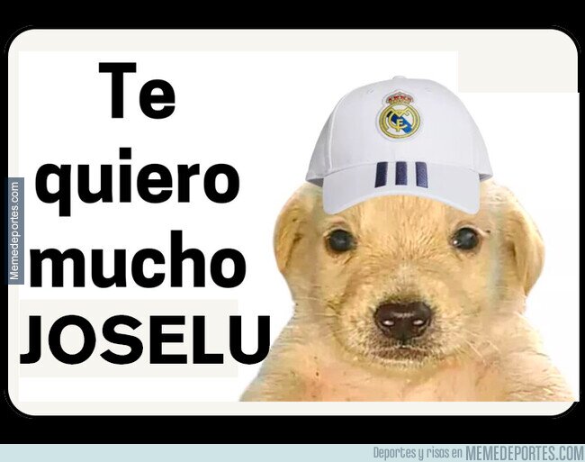 1204474 - Madridistas ahora mismo