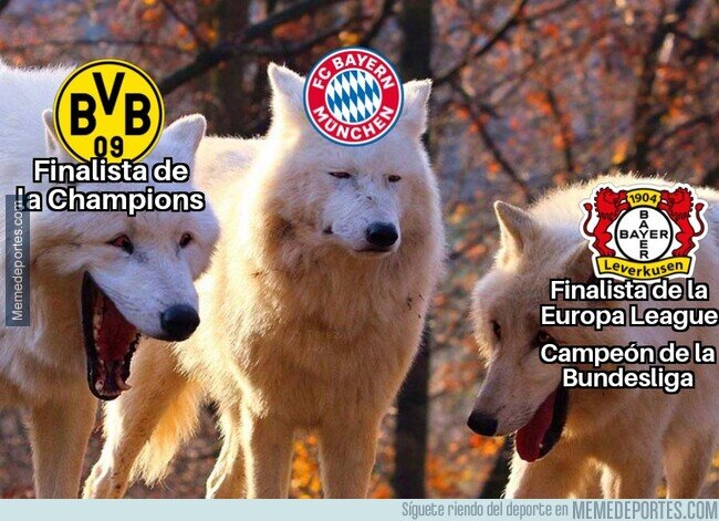 1204555 - En Alemania pueden reírse del Bayern
