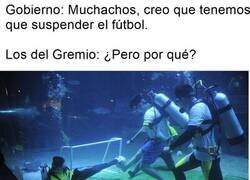 Enlace a No pueden caer dos gotas de agua...