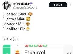 Enlace a La oveja Espanyol