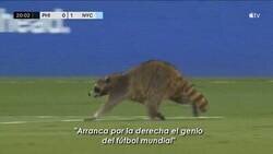 Enlace a Este mejor que Antony si és