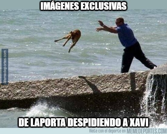1205156 - Adiós jardinero, regresa pronto