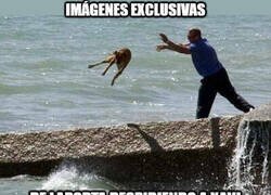 Enlace a Adiós jardinero, regresa pronto