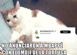 Enlace a Se ha dormido el CM