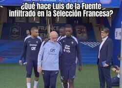 Enlace a Conociendo a los posibles rivales desde dentro