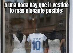 Enlace a Elegancia pura