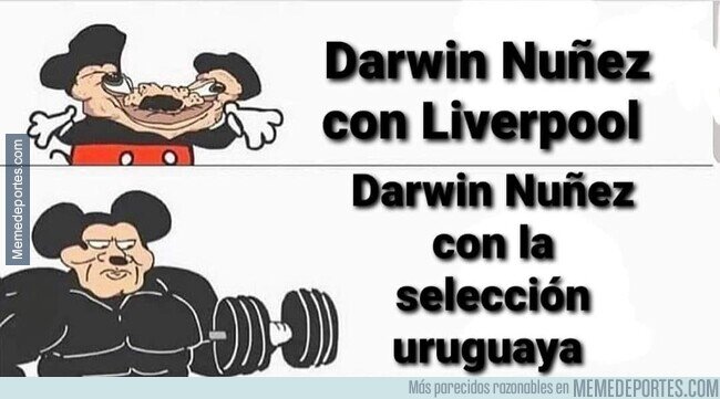 1206280 - Lo transforma la selección