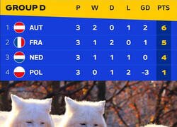 Enlace a La sorpresa de la fase de grupos