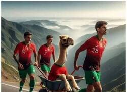 Enlace a Vaya carga la de Portugal