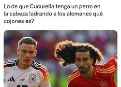 Enlace a ¿Esto qué fue?