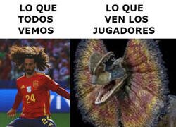 Enlace a El temible cucurellaptor