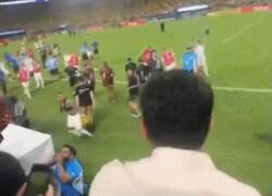 Enlace a Darwin Nuñez erra hasta en lanzar una silla a la grada