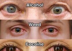 Enlace a El domingo acaba el insomnio