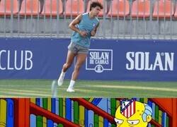 Enlace a No le quedó otra que volver