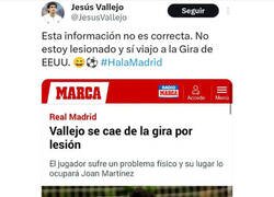 Enlace a Vallejo domando a Marca