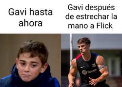 Enlace a La evolución de Gavi