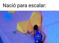 Enlace a Un nombre muy apropiado