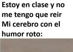 Enlace a ¡Es la araña!