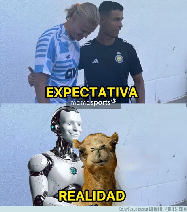 1208647 - Ahora sí que son ellos