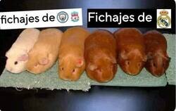 Enlace a Los fichajes del City, Liverpool y Madrid