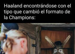 Enlace a Bastante burro debe ser