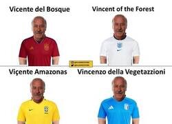 Enlace a Vicente del Bosque en diferentes países