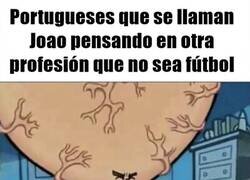 Enlace a El destino les llama